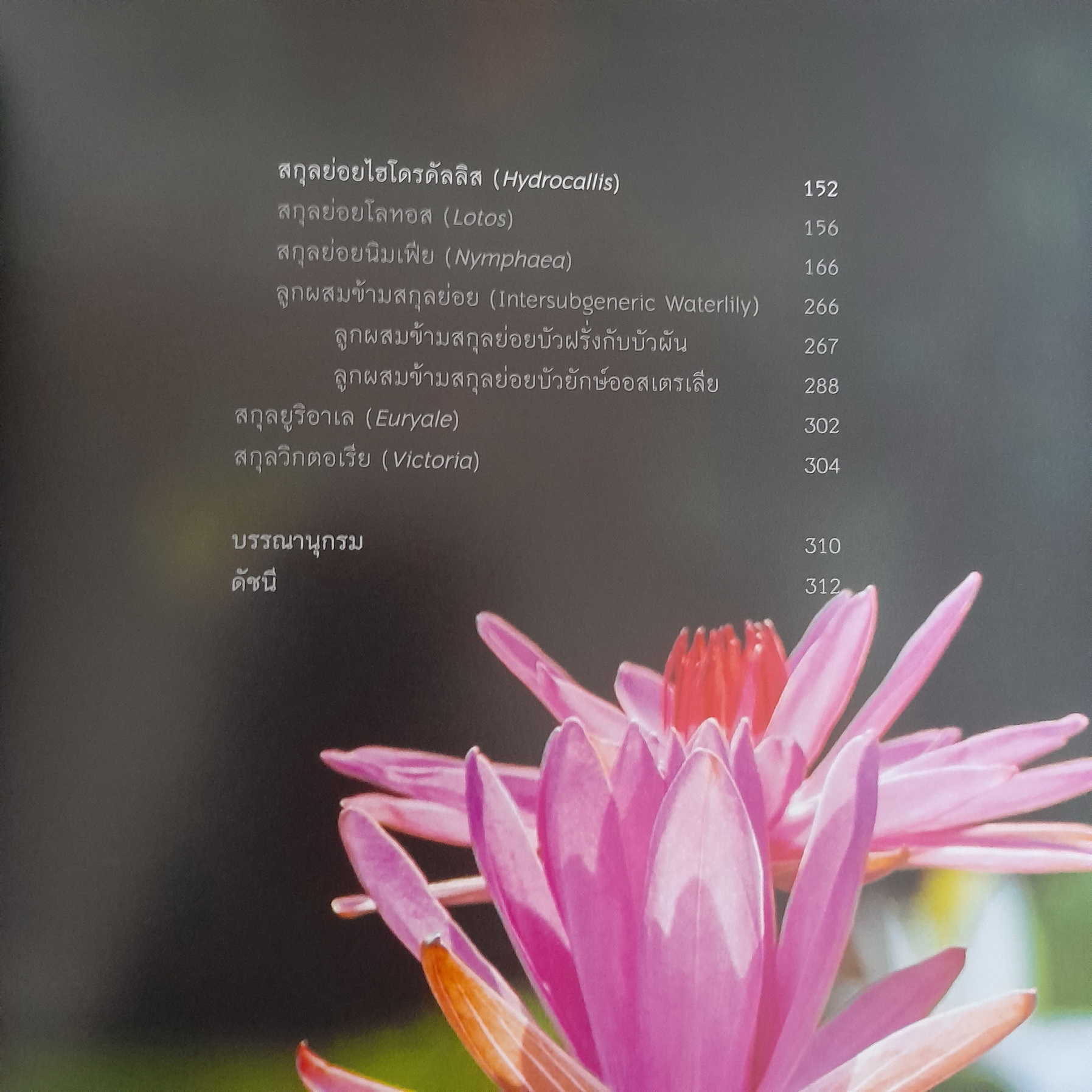 บัว Waterlilies & Lotus (ปกแข็ง) / วีระประวัติ ตรีสุวรรณ - ภวพล ศุภนันทนานนท์