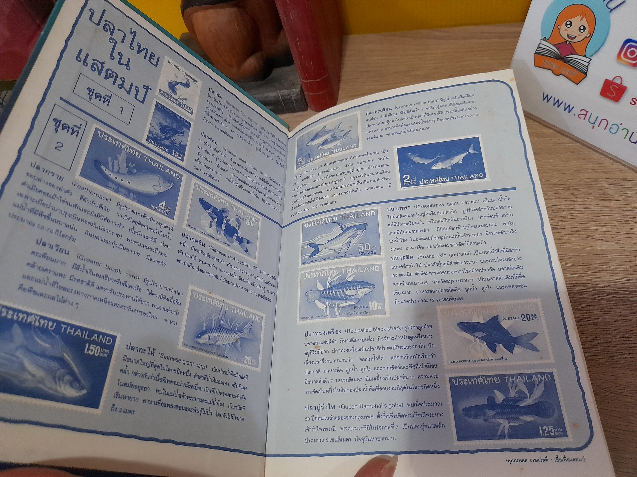 การ์ตูนความรู้ ธรรมชาติมหัศจรรย์ ลำดับที่ 3 : โลกพิศวงของปลา