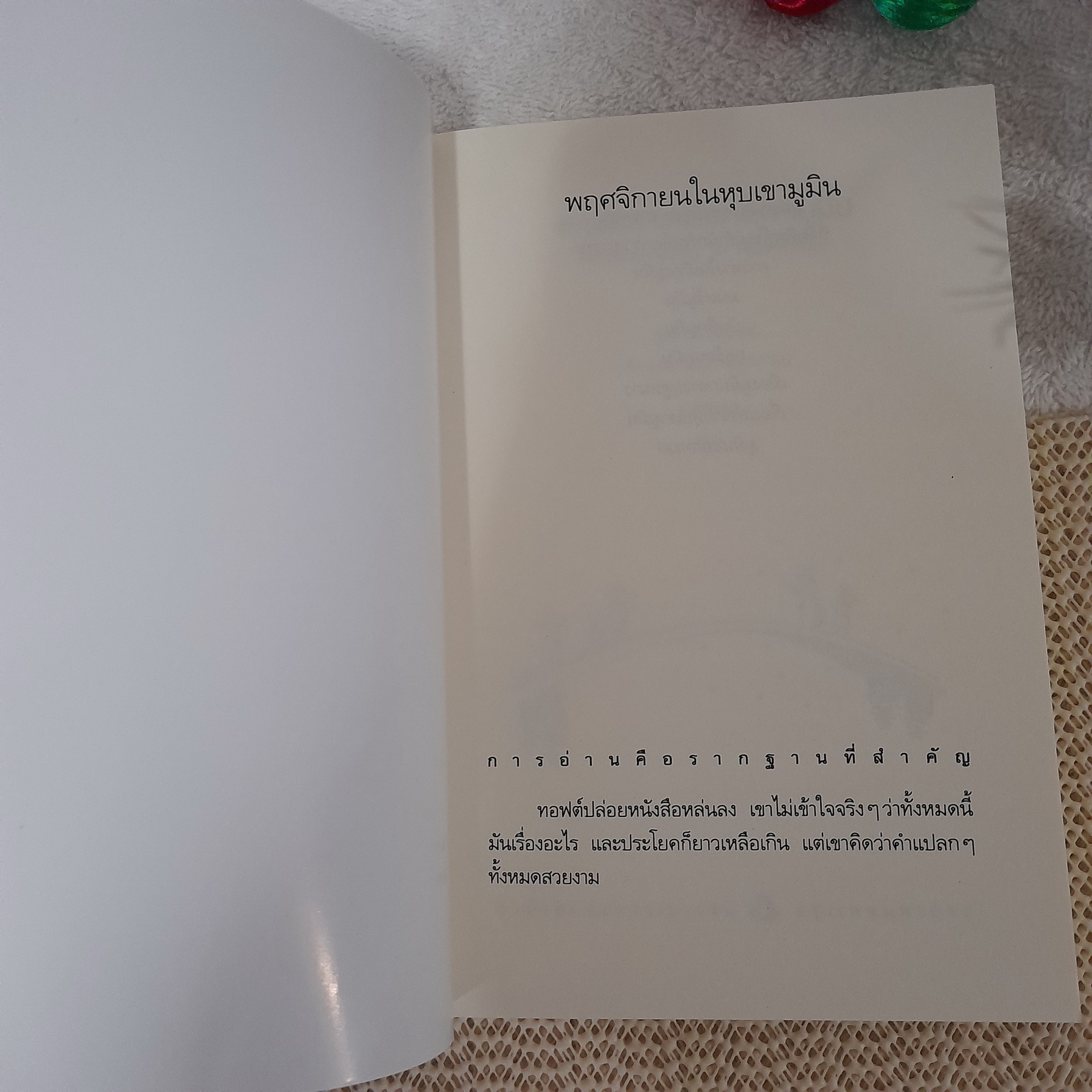 มูมิน พฤศจิกายนในหุบเขา (Moominvalley in November)