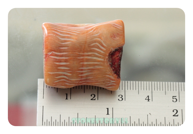 ลูกปัดปะกาลังแดง