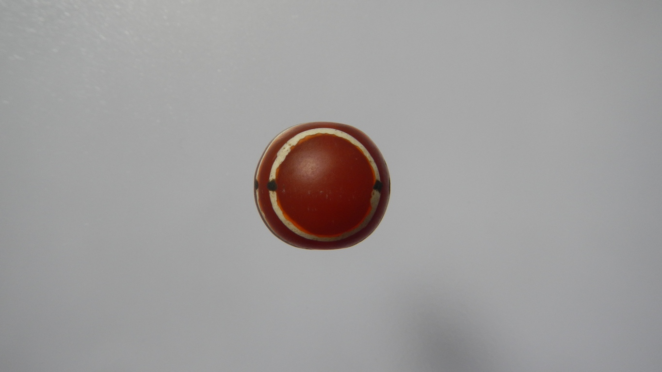 คาเนเลียนเขียนสีเม็ดที่1