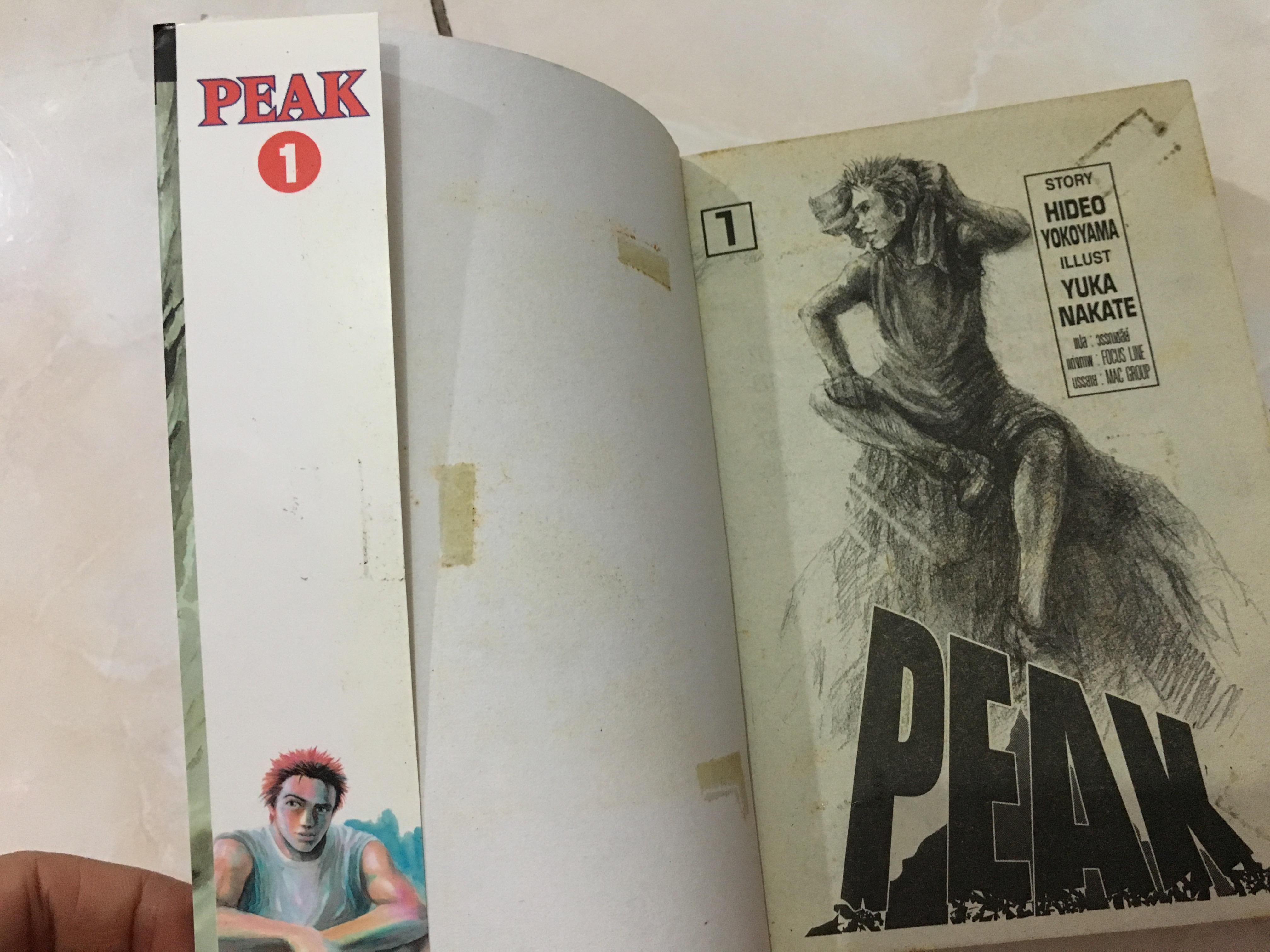 Peak ไต่ท้านรก 1-2 จบ