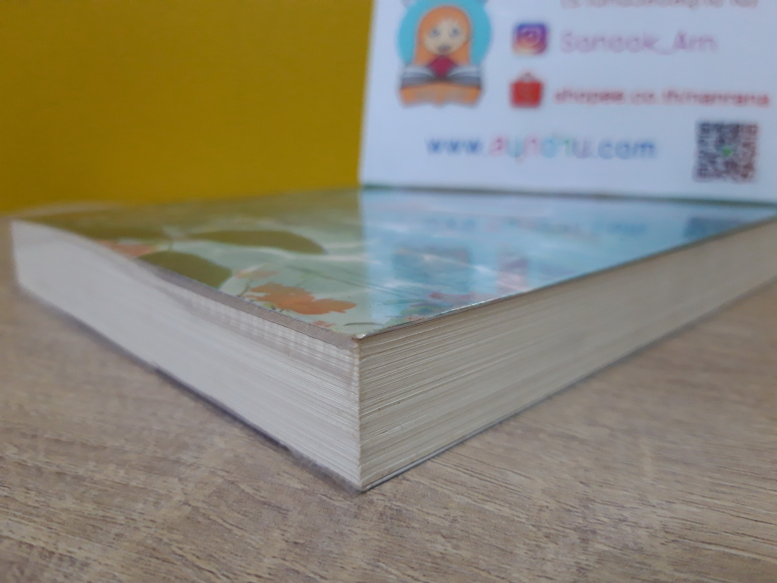 ห้วงรักเงาอดีต / น้ำฟ้า