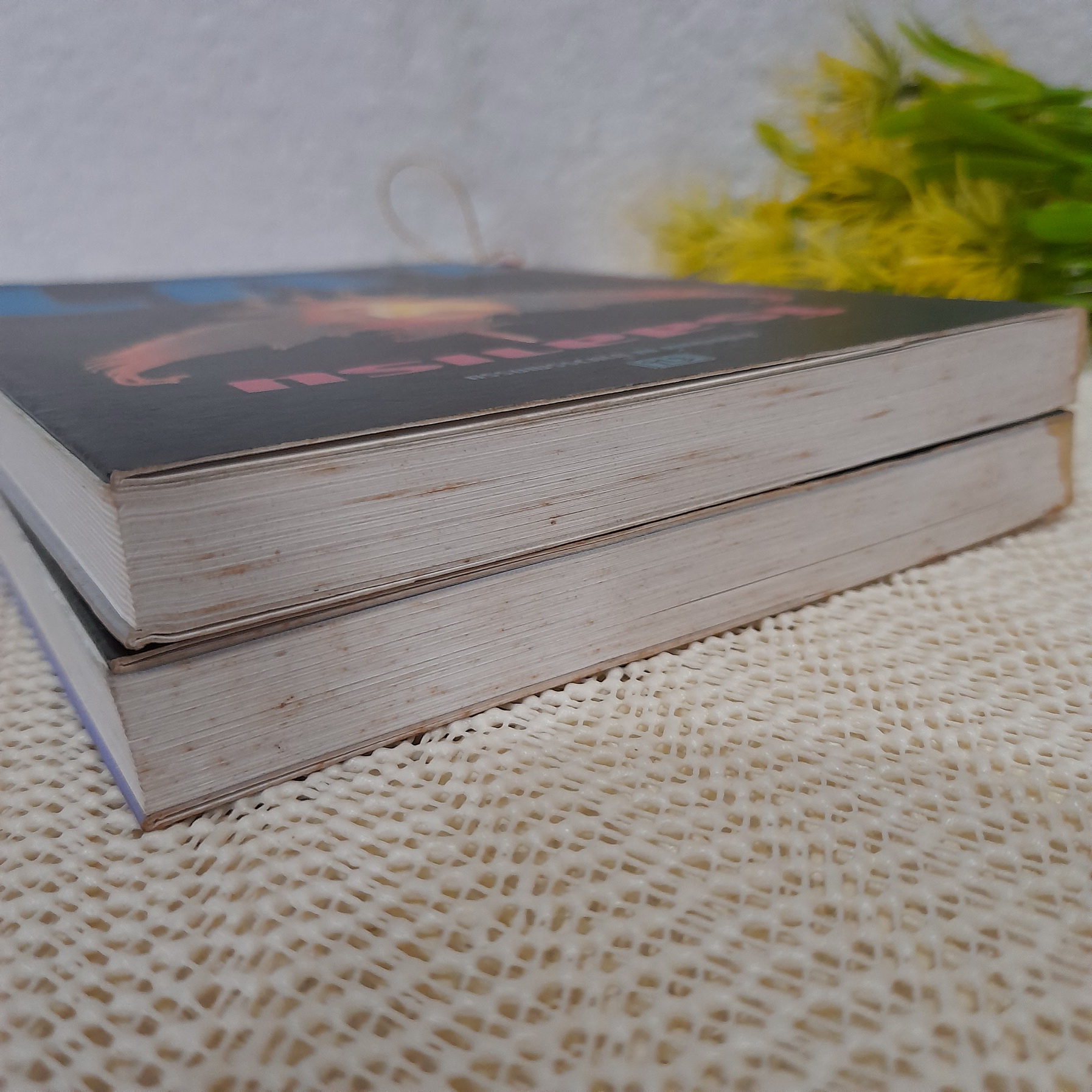 เงา / โรสลาเรน