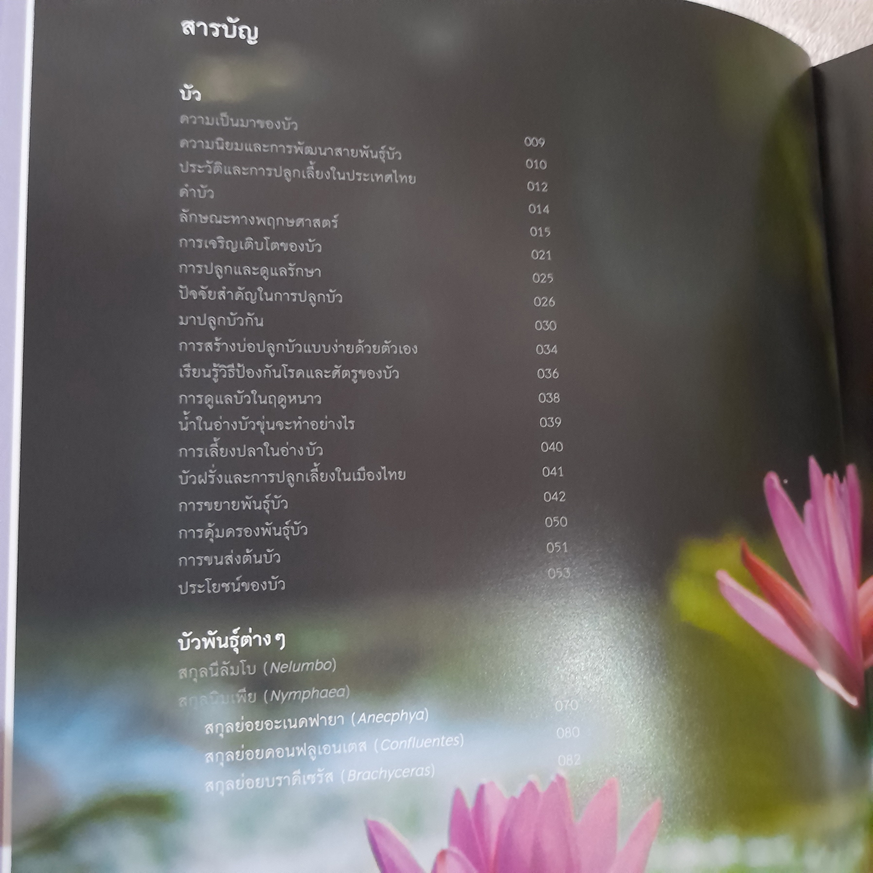 บัว Waterlilies & Lotus (ปกแข็ง) / วีระประวัติ ตรีสุวรรณ - ภวพล ศุภนันทนานนท์