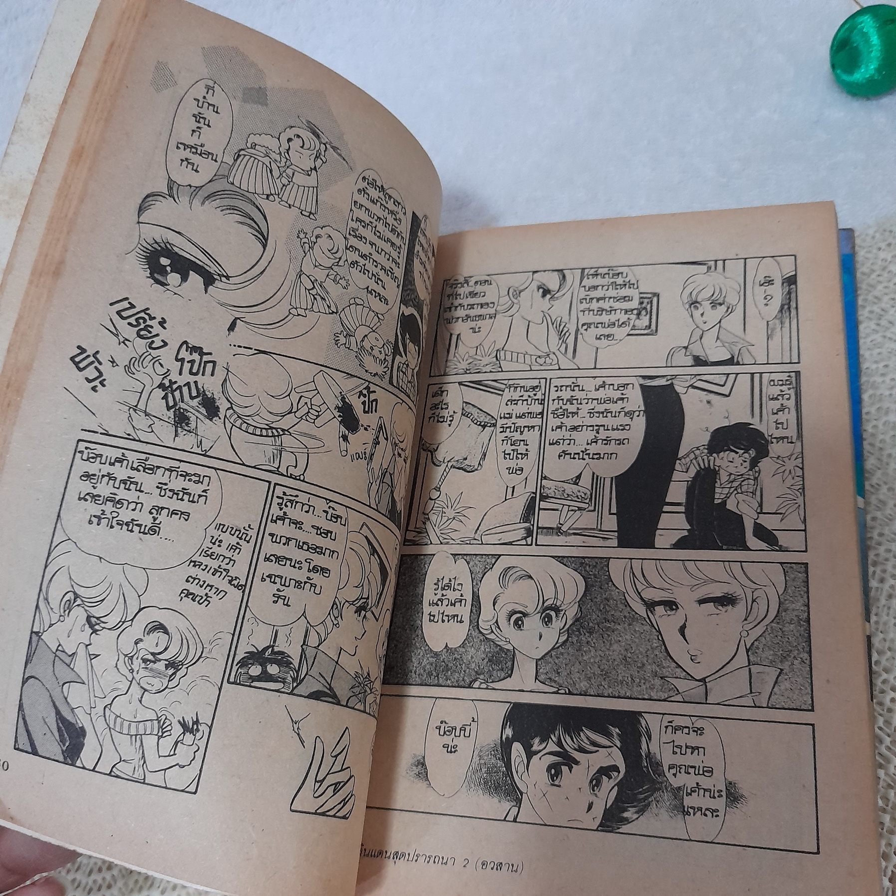 สู่ดินแดนสุดปรารถนา 1-2 จบ / Shintani Kaoru (ผลงานผู้วาด แอเรีย 88)