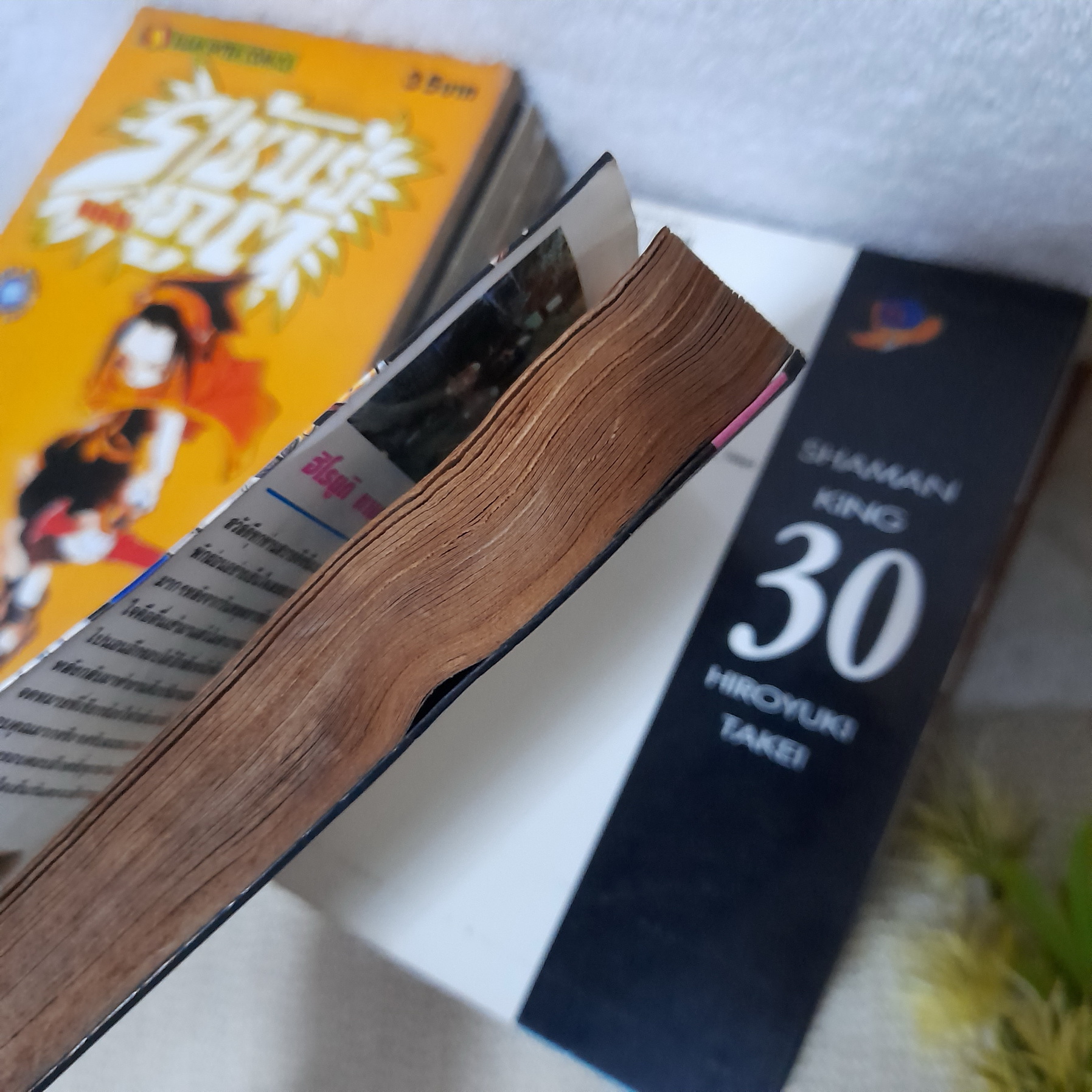 ราชันย์แห่งภูต (shaman king) 1-32 จบ / ** ขาดเล่ม 17,18,20,22