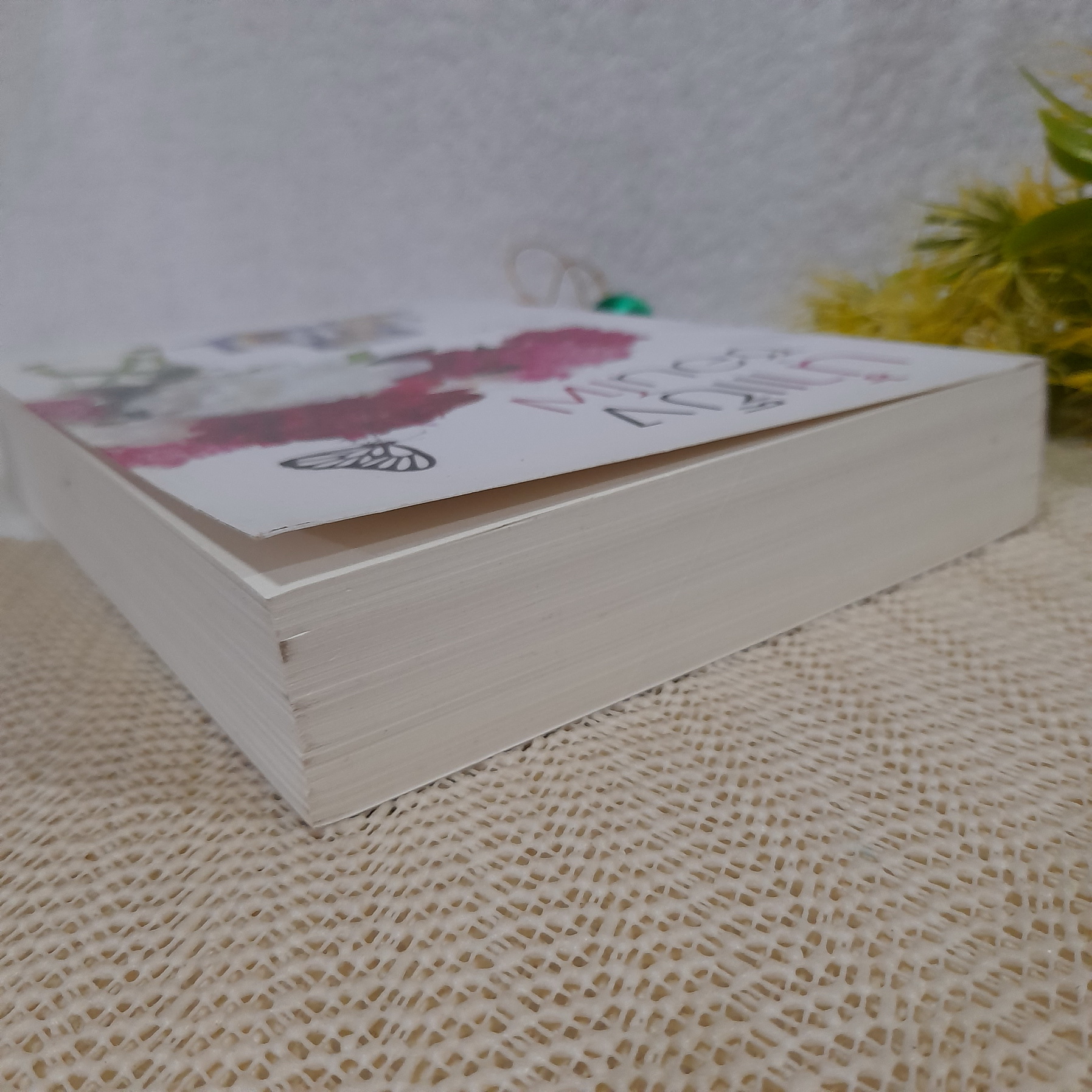 น้ำแข็งซ่อนไฟ / อาริตา