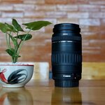 CANON ZOOM LENS EF 90-300MM.F4.5-5.6