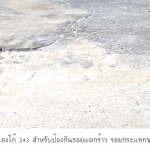 การใช้งาน แลงโก้ 243 (LANKO 243)