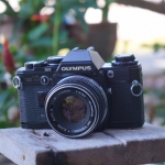 OLYMPUS OM10 OLYMPUS F. ZUIKO AUTO-S 50 MM. F1.8