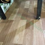 ลายเสื่อน้ำมันมาใหม่ วันที่ 1 พฤศจิกายน 2567