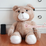 ตุ๊กตาหมี TED เปลือย (Body) ไซค์ใหญ่ 60cm จากหนังเรื่อง TED หมีไม่แอ๊บ แสบได้อีก