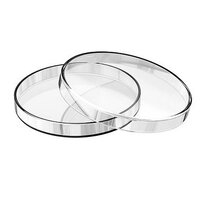 15x60mm