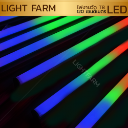 หลอดไฟงานวัด LED (ไฟนิ่งไม่กระพริบ) สีรวม / หลอดไฟ T8 หลอดสี