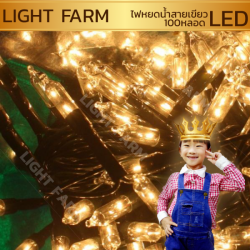 ไฟหยดน้ำสายเขียวสีวอม ไวท์ ไฟประดับตกแต่ง ไฟหยดน้ำสายเขียว