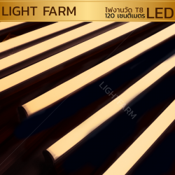 หลอดไฟงานวัด LED (ไฟนิ่งไม่กระพริบ) สีวอมไวท์ / หลอดไฟ T8 หลอดสี