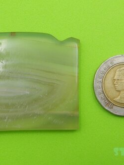 ลูกปัด เฟิร์ม