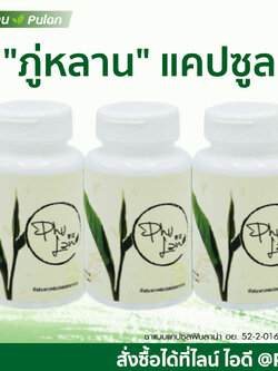 ชาภู่หลานแบบแคปซูล 3 กระปุก (180 แคปซูล)