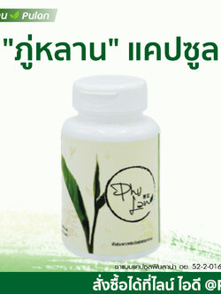 ชาภู่หลานแบบแคปซูล 1 กระปุก (60 แคปซูล)