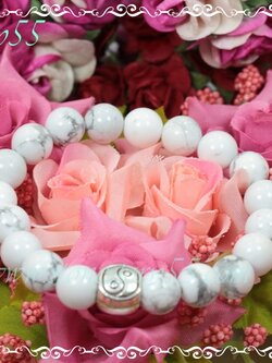 ฮาวไลท์