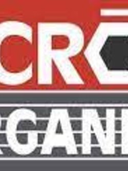 Pepsin, for Biochemistry Powder Acros Organics™