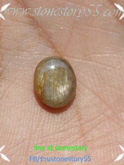 พลอยสตาร์(นิหร่าพม่า)