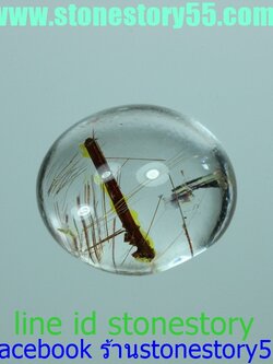 ไหมทองเส้นใหญ่