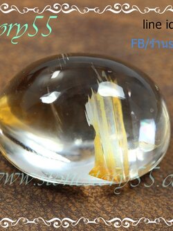 แก้วกาบ คลีบปลา