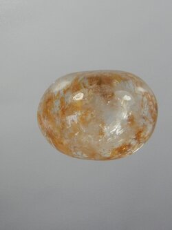 แก้วกาบเงิน+กาบทอง