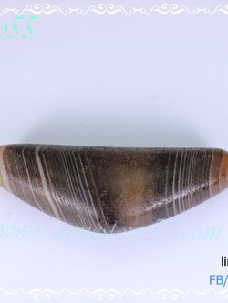 ลูกปัด เฟิร์ม ลพบุรี