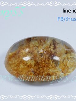 แก้วกาบสวยใสเนียน