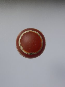 คาเนเลียนเขียนสีเม็ดที่3(ขายแล้ว)