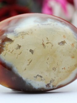 ฟอลซิลสี้น้ำผึ้ง