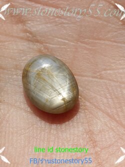 พลอยสตาร์