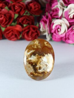 ฟอลซิลหิน