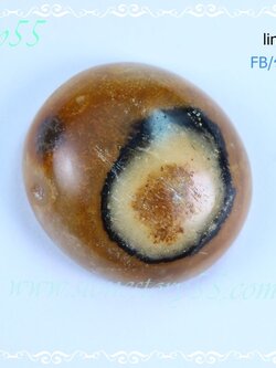 ฟอลซิลหิน(ขายแล้ว)