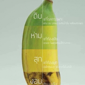 กล้วยน้ำว้้า โดย เบา เบา