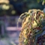 CANON LENS FL 50MM. F1.8
