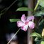 SUPER-TAKUMAR 135MM.F3.5 M42 MOUNT