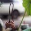 NIKON LENS SERIES E 50MM.F1.8 NIKON AIS MOUNT