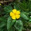 KERN-PAILLARD SWITZERLAND YVAR 36MM.F2.8 CINE LENS