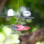 NIKON LENS SERIES E 100MM.F2.8 AIS MOUNT