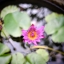PENTACON AUTO 29MM.F2.8 MC M42 MOUNT