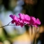 TAMRON 80-210MM.F3.8-4 CF TELE MACRO BBAR MC
