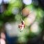 NIKON MICRO-NIKKOR 105MM.F2.8 AIS MOUNT