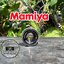 MAMIYA-SEKOR 48MM.F.2 MODIFIED M39 MOUNT