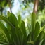 INDUSTAR-61 53MM.F2.8 LEICA M39 MOUNT