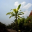 CANON LENS SH 28MM.F2.8 MODIFY E MOUNT