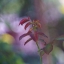 PROJECTION LENS PENTACON AV 80MM.F2.8 NEX MOUNT